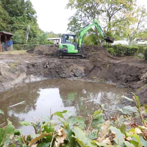 Wiederherstellung eines Feuchtbiotops in einer Kleingartenanlage