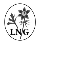 Verbandstag des LNG
